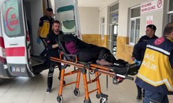 İnek kavgası kanlı bitti: 1 ölü 3 yaralı