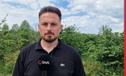 Ağıla giren kurt 8 küçükbaş hayvanı telef etti
