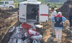 900 kilogram etiketsiz dana ciğeri ele geçirildi