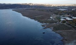 Sapanca Gölü yüzleri güldürüyor