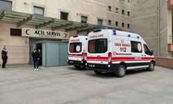 SEAH'taki skandalda yeni gelişme