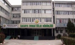 Söğütlü’de odun üretim işçiliği ihalesi yapılacak
