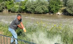 Haşere ve yılanlara karşı kükürt mesaisi
