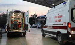 Kız alıp verme husumeti kanlı bitti