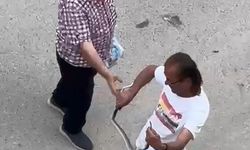 Paniğe sebep olan yılanı eliyle yakaladı