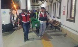 Tarlada feci kaza can aldı!