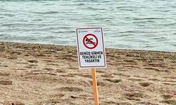 Sakarya'da denize girişler yasaklandı