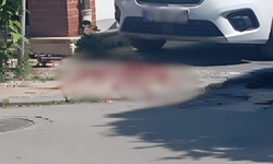 Şehrin merkezinde güpegündüz vurgun!