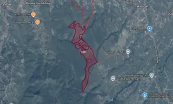 Yeni barınak ihalesi belli oldu