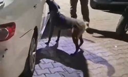 KMO'da uyuşturucu operasyonu: 2 kişi tutuklandı