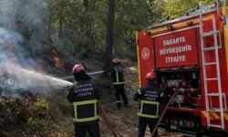 Pamukova'da orman yangını!
