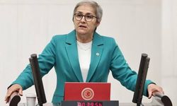 Taşkent: ''Fındık en az 300 lira olmalı''