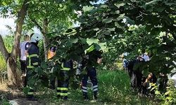 Fındık bahçesinde kendini asarak öldürdü