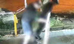 Sapanca'da kamu malına çirkin saldırı