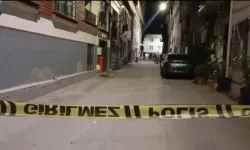 Hamile kadın feci şekilde can verdi