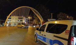Otomobilin çarptığı yaşlı kadın hayatını kaybetti