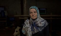 Komşusunun danasının kuyruğunu kesti!