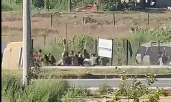 Kocaali'de sopalı tüfekli kavga