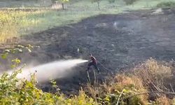 Bilinçsiz yakılan ateş nelere sebep oldu...