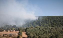 Muğla'da yine ciğerimiz yandı: Yangın iki ilçeye yayıldı