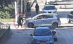 3 yaşındaki Elif'i hayattan kopardı!