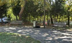 Parkta ölü bulundu