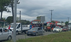 Kocaali'de fındık protestosu