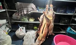 Tonlarca et imha edildi