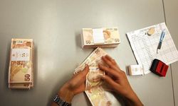 Yeni banknotlar tek değişiklikle tedavülde