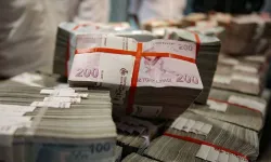 Vergi rekortmenleri belli oldu: 81 kişi ismini açıklamadı