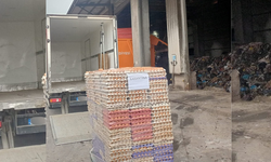 Sakarya’da 59 bin 70 yumurta imha edildi