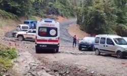 Sapanca’da kestane toplamak için gittiği ormanda ölü bulundu