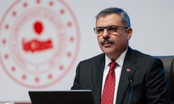 Bakan Çiftçi duyurdu: Sokak hayvanlarıyla ilgili süreç tamamlandı