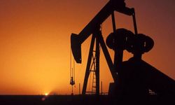 SATSO’da Enerji ve Petrol Ürünleri Komitesi’nde Yeşil Liste kazandı