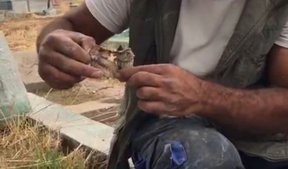 Mezarlıktan kefenlenmiş oyuncak bebek çıktı!