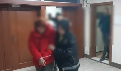 186 kilo bonzai ele geçirildi