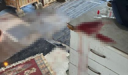 Arsa anlaşmazlığı yaşadığı ablasını katletti!