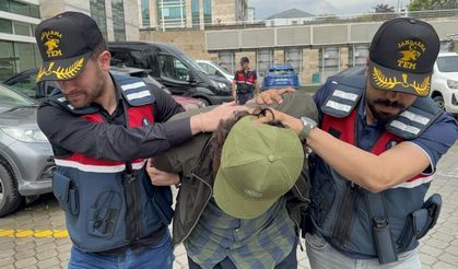 DEAŞ operasyonu: 1 gözaltı