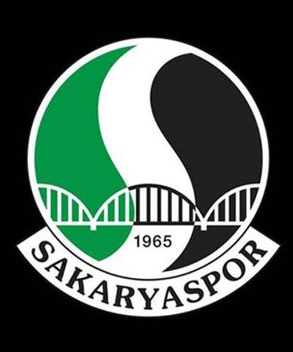 Sakaryaspor'da bir istifa daha!
