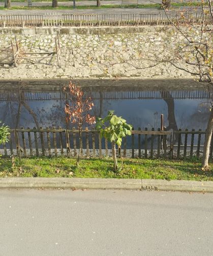 Çark Deresi'nde siyah su alarmı