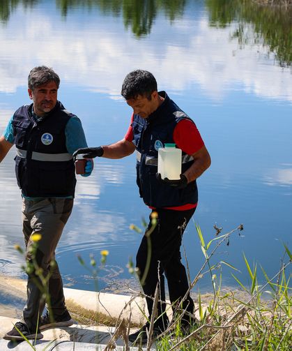 Sapanca Gölü için su kalitesi kontrol altında!