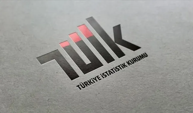 TÜİK en çok kazandıran reel getiriyi açıkladı!