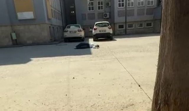 AYT oturumuna TYT belgesiyle geldi: Sınava giremedi!