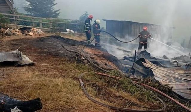 3 yayla evinden geriye külleri kaldı!