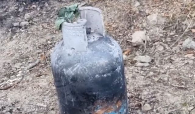 Hendek'te çıkan yangının sebebi belli oldu!
