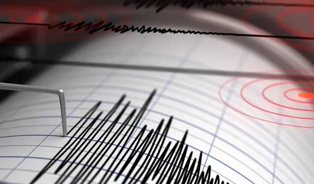 Sakarya'da deprem paniği