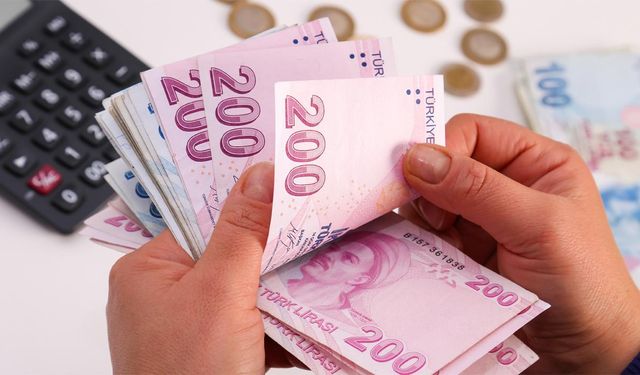 e-Devlet'ten emekli maaşı hesaplama dönemi başladı