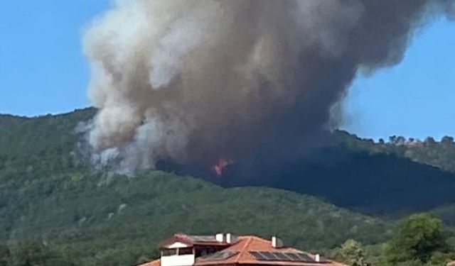 Hendek'te korkutan yangın!