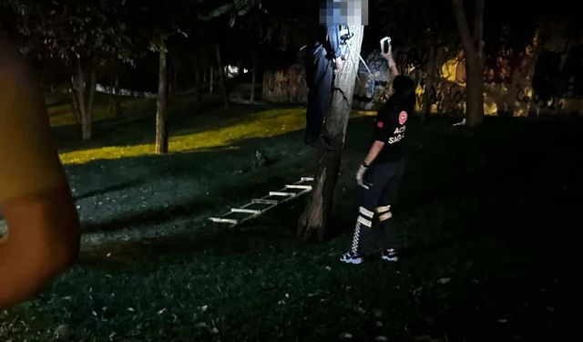 Yol kenarındaki ağaçta cansız beden bulundu!