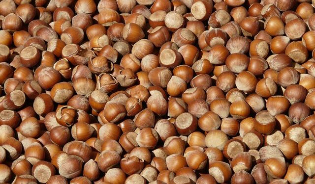 Sakarya'da 29 Kasım 2025 fiyatları ne durumda?